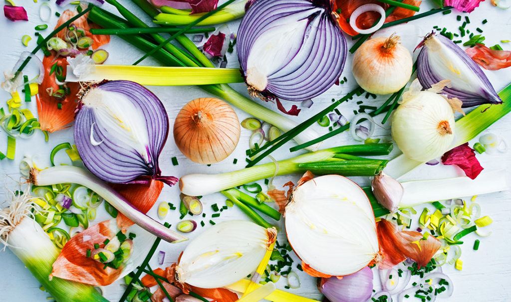 alliums close up