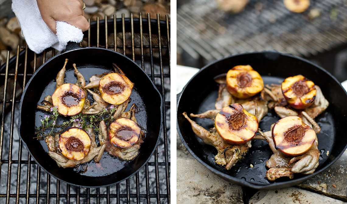 peach quail